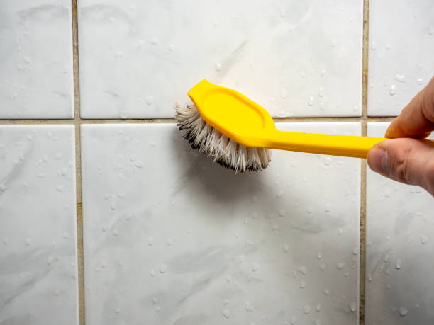 Best Affordable Mold Removal  in Pine Brook, NJ