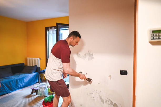 Best Home Mold Removal  in Pine Brook, NJ